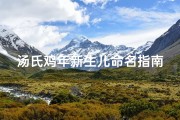 汤氏鸡年新生儿命名指南，生辰八字与吉祥字搭配解析