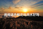 房间适合鲜花吗风水好吗_房间放什么鲜花对人身体好