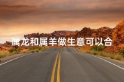 属龙和属羊做生意可以合作吗、龙羊联手创富记