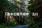《庚申石榴木命格：五行缺啥，运势如何解析》