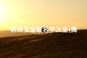 男鸡宝宝取名字大全(属鸡男宝宝的取名大全名字推荐)