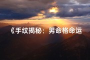 《手纹揭秘：男命格命运之谜》