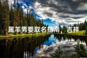 属羊男婴取名指南，吉祥寓意与文化传承精选大全
