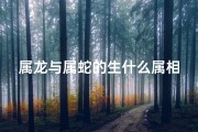 属龙与属蛇的生什么属相的宝宝最好,龙蛇猴宝聚首，欢乐满人间