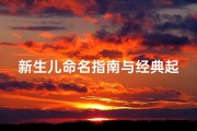 新生儿命名指南与经典起名书籍推荐，为孩子定制专属人生符号