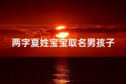 两字夏姓宝宝取名男孩子—《夏姓宝宝，两字佳名，彰显阳刚之气》