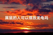 属鼠的人可以摆放龙龟吗
