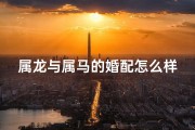 属龙与属马的婚配怎么样,属龙配属马：相得益彰的佳偶