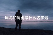 属龙和属虎取什么名字最好_属龙和属虎取什么名字最好男孩