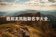 姓郑龙凤胎取名字大全、《郑龙宝宝女孩取名：探寻美好寓意》