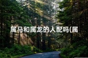 属马和属龙的人配吗(属马遇属龙，缘定三生情意浓)