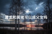 属龙和属猪可以成父女吗_属龙和属猪可以成父女吗好吗
