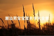 潮汕男宝宝取名字大全集(姓庄缺火的男孩潮汕普通话都好听的名字)