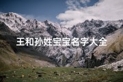 王和孙姓宝宝名字大全