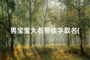 男宝宝大名带佳字取名(佳瑞宝宝，未来之星闪耀登场)