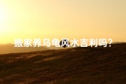 搬家养乌龟风水吉利吗？家居新气象解析