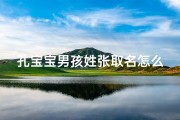 孔宝宝男孩姓张取名怎么取_《孔宝宝男孩姓张，如何取一个响亮好听的姓名？》