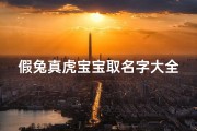 假兔真虎宝宝取名字大全(属虎的人取名字)