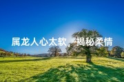 属龙人心太软，揭秘柔情背后的真相