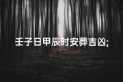 壬子日甲辰时安葬吉凶;壬子日甲辰时生人命运