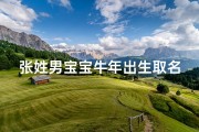 张姓男宝宝牛年出生取名字、张姓牛年男宝宝：寓意吉祥的名字推荐