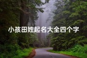 小孩田姓起名大全四个字,《田姓宝宝起名大全：四字佳名精选》