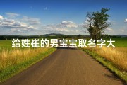 给姓崔的男宝宝取名字大全(100个姓崔好听的男孩名字)