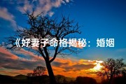 《好妻子命格揭秘：婚姻幸福密码》