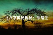 《八字奥秘揭秘：命理注解宝典》