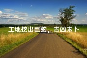 工地挖出巨蛇，吉凶未卜引关注