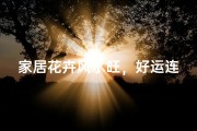 家居花卉风水旺，好运连连满家园