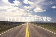 丙午午丁双煞暇什么意思;丙午双山吉凶断法详解大全宝典