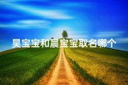 昊宝宝和晨宝宝取名哪个好(昊宝宝VS晨宝宝：哪个名字更动听？)