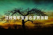 沈姓兔年宝宝名字男孩取名