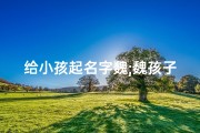 给小孩起名字魏;魏孩子名字