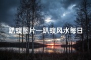 趴蝮图片—趴蝮风水每日供水之谜：需持续滋养否？