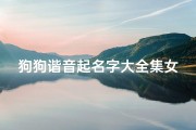 狗狗谐音起名字大全集女孩(给狗狗取个洋气的名字,是妹妹,一定要洋气  )