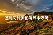 墓地可种侧柏吗风水好吗;坟头种侧柏好吗