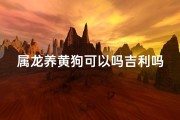 属龙养黄狗可以吗吉利吗