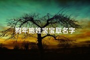 狗年施姓宝宝取名字