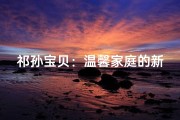 祁孙宝贝：温馨家庭的新成员
