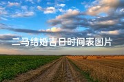 二马结婚吉日时间表图片