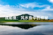 战船鱼：风水鱼中的神秘之选