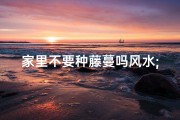 家里不要种藤蔓吗风水;家里种藤蔓真的会影响风水吗？