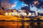 梦见玉米好吗？_梦见玉米预示吉凶：揭秘梦境中的玉米寓意