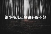 给小孩儿起名铭轩好不好、男宝取名铭轩怎样