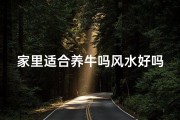 家里适合养牛吗风水好吗