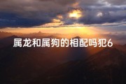 属龙和属狗的相配吗犯6冲;属龙属狗相配犯6冲，爱情路漫漫