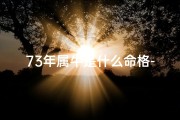 73年属牛是什么命格-73年属牛命格揭秘：运势详解与人生指引
