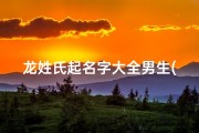 龙姓氏起名字大全男生(属龙的男孩子起什么名字好男孩起名大全属龙)